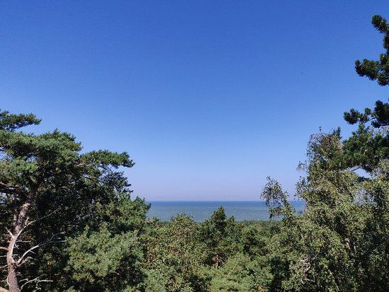 Wielbłądzi Grzbiet